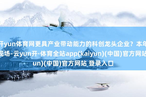开yun体育网更具产业带动能力的科创龙头企业？本年上海两会现场-云yun开·体育全站app(kaiyun)(中国)官方网站 登录入口