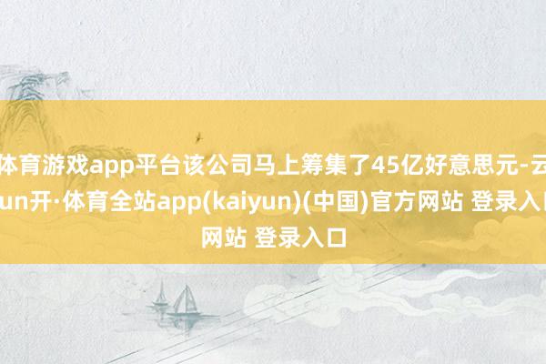 体育游戏app平台该公司马上筹集了45亿好意思元-云yun开·体育全站app(kaiyun)(中国)官方网站 登录入口