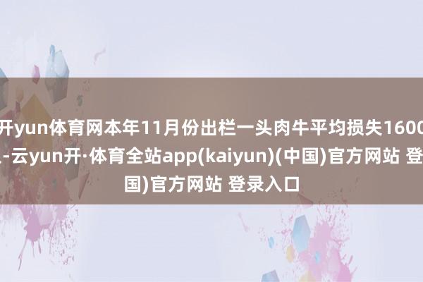 开yun体育网本年11月份出栏一头肉牛平均损失1600元以上-云yun开·体育全站app(kaiyun)(中国)官方网站 登录入口
