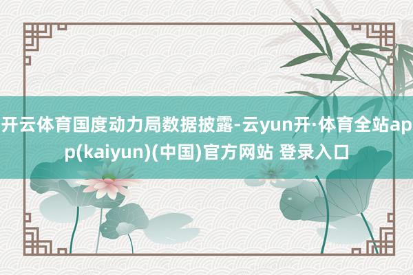 开云体育　　国度动力局数据披露-云yun开·体育全站app(kaiyun)(中国)官方网站 登录入口