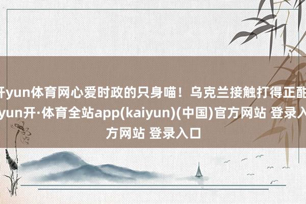 开yun体育网心爱时政的只身喵！乌克兰接触打得正酣-云yun开·体育全站app(kaiyun)(中国)官方网站 登录入口
