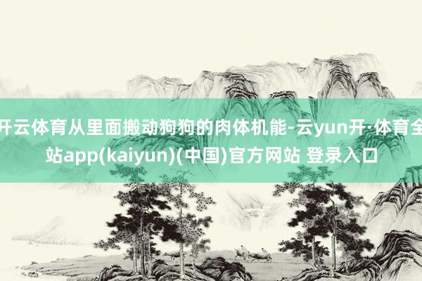 开云体育从里面搬动狗狗的肉体机能-云yun开·体育全站app(kaiyun)(中国)官方网站 登录入口