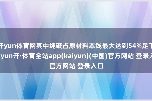 开yun体育网其中纯碱占原材料本钱最大达到54%足下-云yun开·体育全站app(kaiyun)(中国)官方网站 登录入口